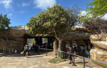 Honolulu Snorkel Company13