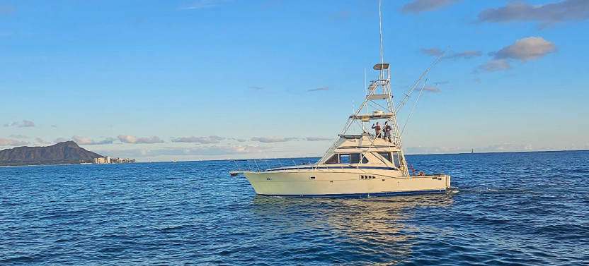 Private Boat Charter Snorkel with Sea Turtles at Oahu’s Turtle Canyons