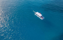 Honolulu Snorkel Company5