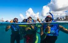 Honolulu Snorkel Company8