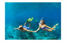 Honolulu Snorkel Company7