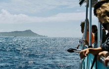 Honolulu Snorkel Company3