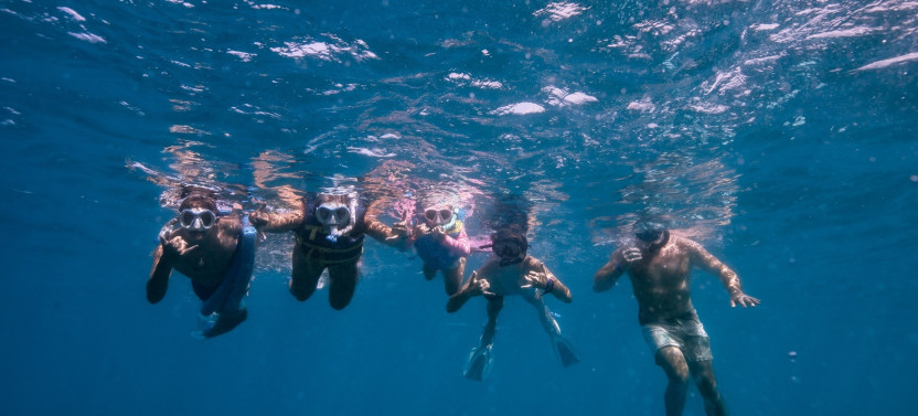 Semi-Private Turtle Canyon Snorkel Tour in Waikiki