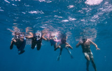 Honolulu Snorkel Company13