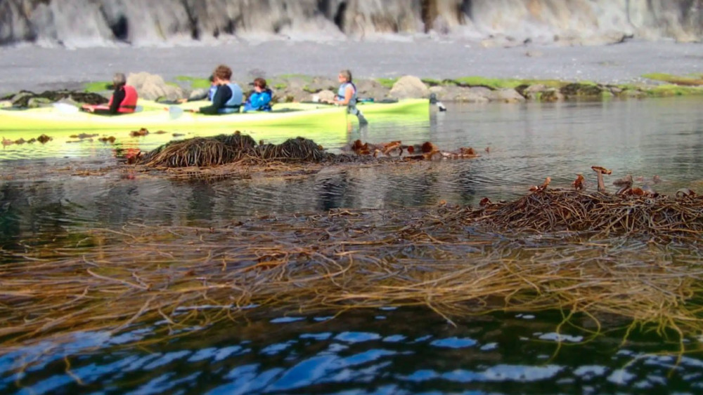 Atlantic Sea Kayaking