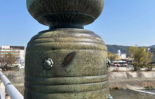 VoiceMap Audio Tours4