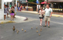 VoiceMap Audio Tours10