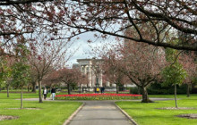 VoiceMap Audio Tours7