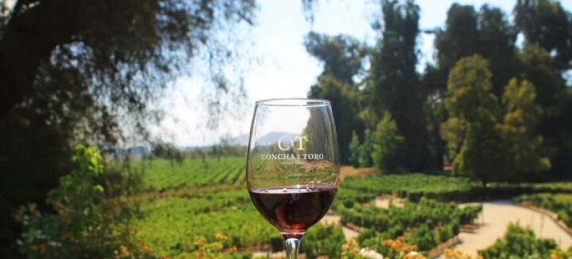 New Experience Concha y Toro Winery Tour from Santiago