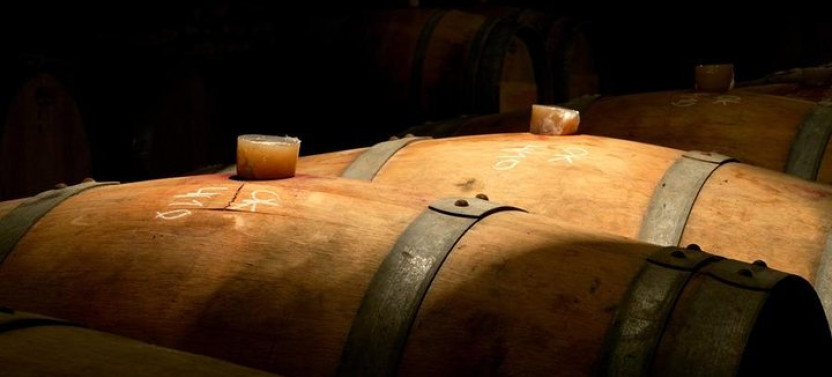 New Experience Concha y Toro Winery Tour from Santiago