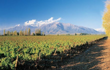 Gray Line Chile4