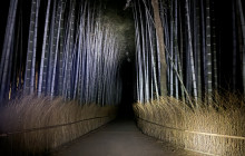Japanify Tours2