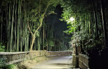 Japanify Tours7