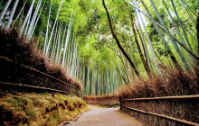 Japanify Tours4