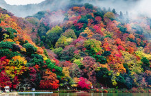 Japanify Tours8