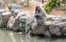Japanify Tours13