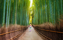 Japanify Tours19