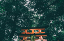 Japanify Tours8