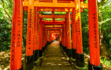 Japanify Tours17