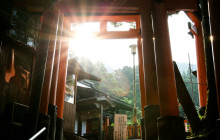 Japanify Tours18