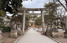 Japanify Tours9