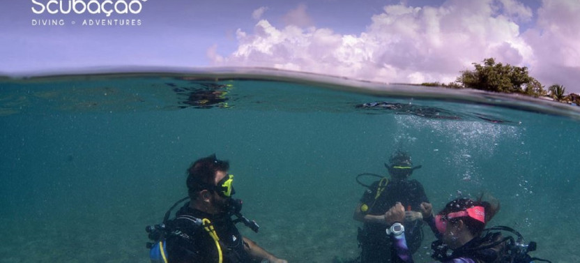 Introduction Shore Dive (1 dive)