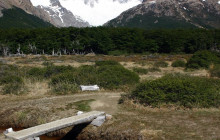 Gray Line Chile5