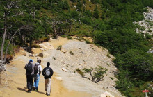 Gray Line Chile6