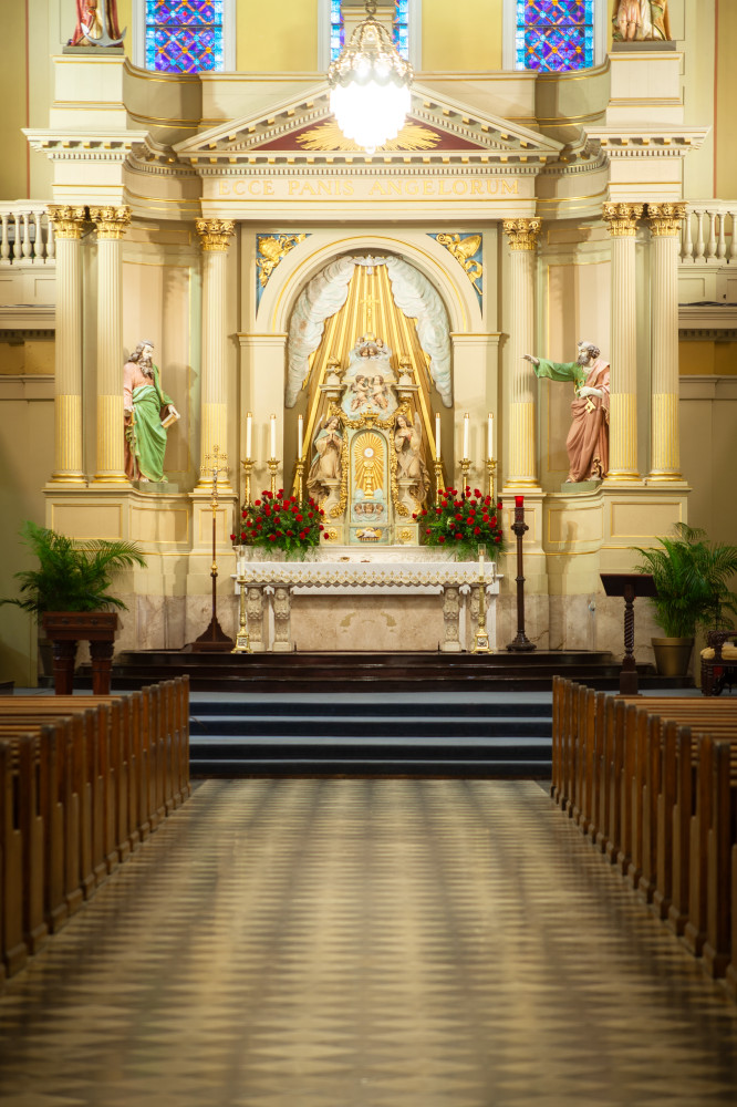 VIP Early Access Guided Tour of Historic St. Louis Cathedral