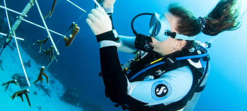Coral Restoration Specialty Course