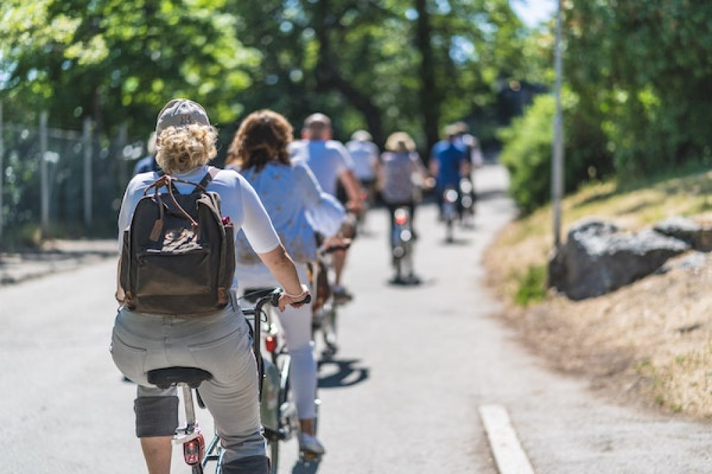 Djurgården's Green Treasures Private Bike Tour