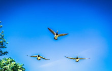 OURWAY Tours Stockholm3