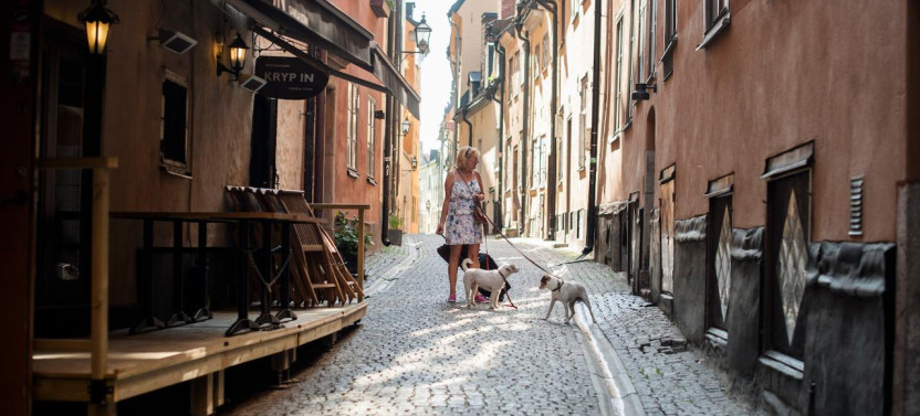 Stockholm & Vasa Museum Private Driving Tour