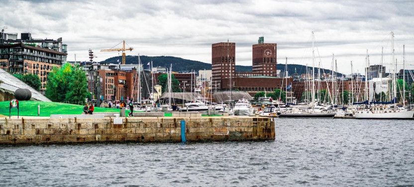 Oslo & Fram Museum Private Driving Tour