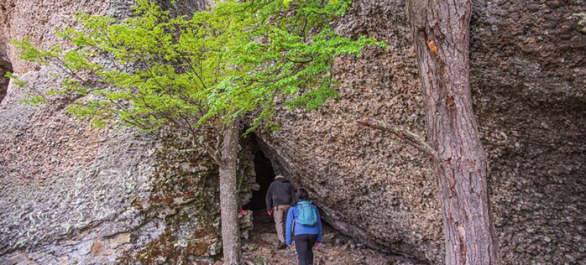 Rock Painting Cerro Benitez: Hike to Ancient Art