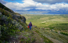Gray Line Chile6