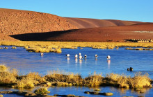 Gray Line Chile5