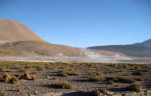 Gray Line Chile6