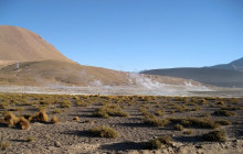 Gray Line Chile10
