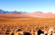 Gray Line Chile18