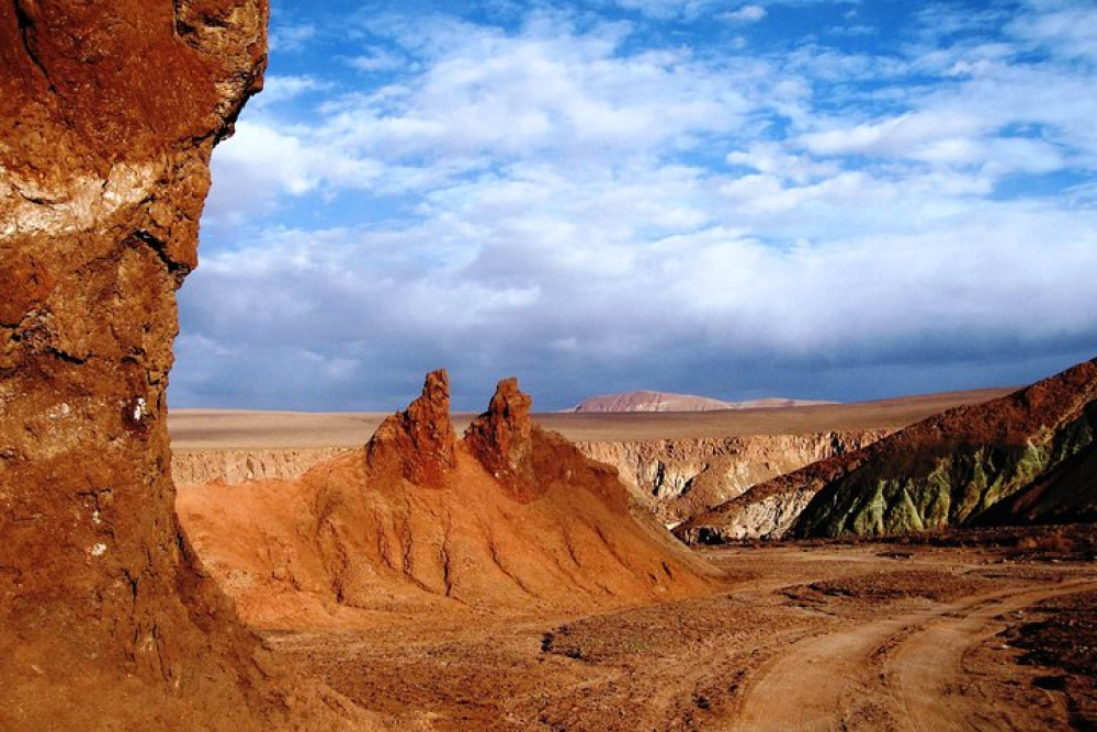 Gray Line Chile