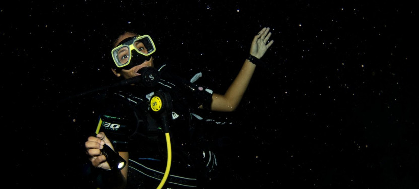 Guided Night Dive