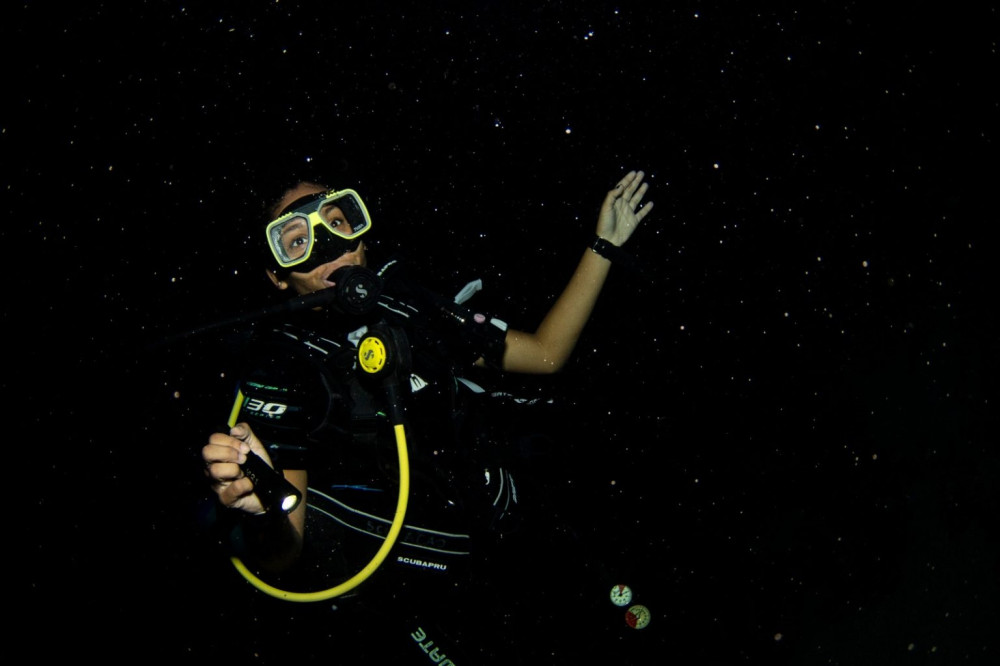 Guided Night Dive