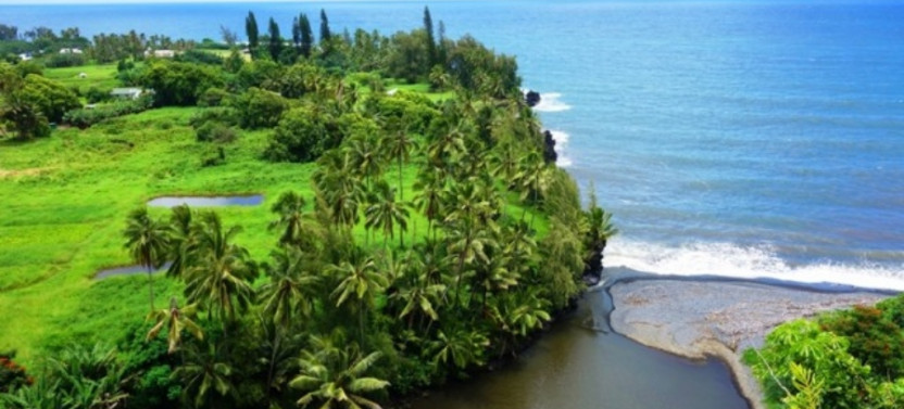 Luxury Road To Hana Waterfalls & Lunch