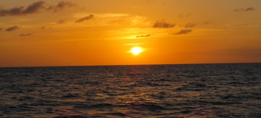 Private Catamaran Sunset Cruise