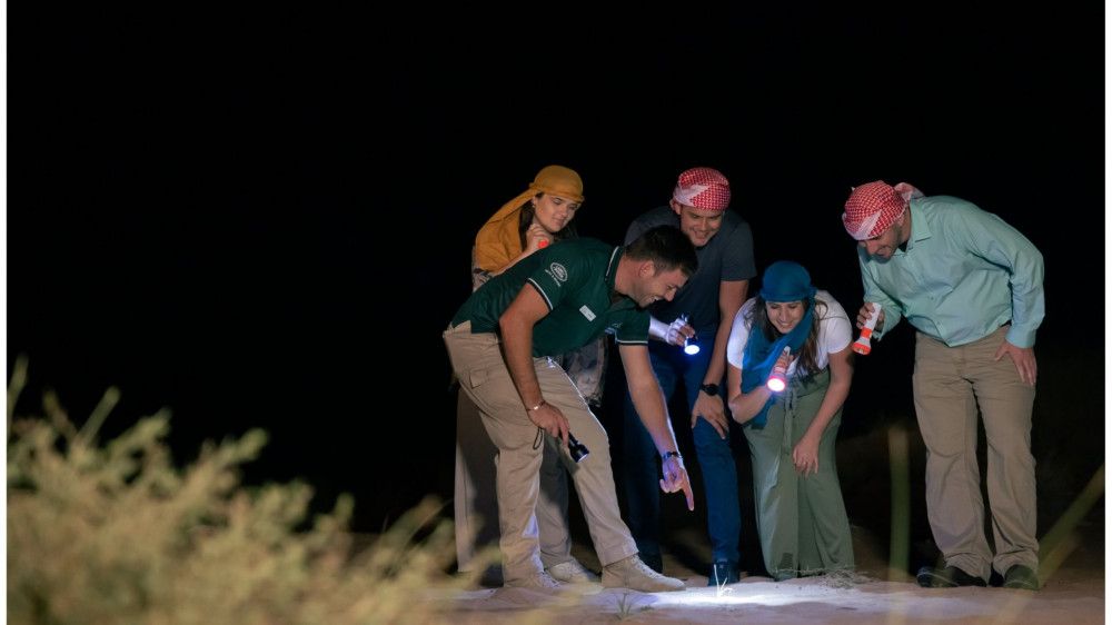 Private Night Safari & Astronomy in 1950's Land Rover - 4 Guests