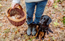 Adriatic Vision Private Experiences1