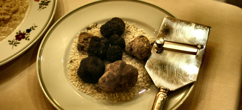 Private Istria Gourmet Experience: Truffle Hunting and Walking Tour