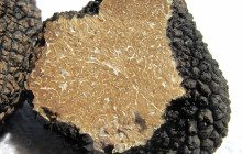 Adriatic Vision Private Experiences4