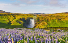 Icelandia8